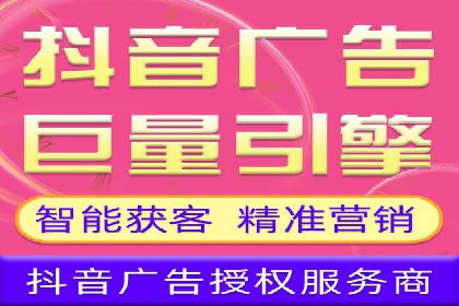 百度竞价与搜索引擎优化（SEO）结合的经典案例